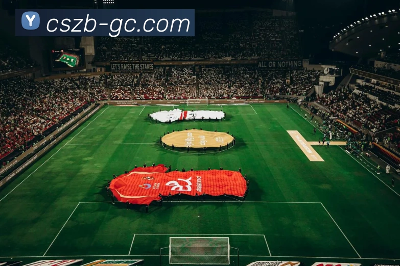 彩神争霸服务体系